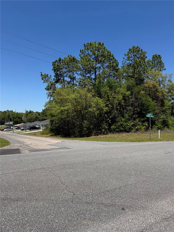 A paved road intersection leads to a vacant, wooded lot under a clear blue sky — 8975 N TRAVIS DRIVE, CITRUS SPRINGS, FL
