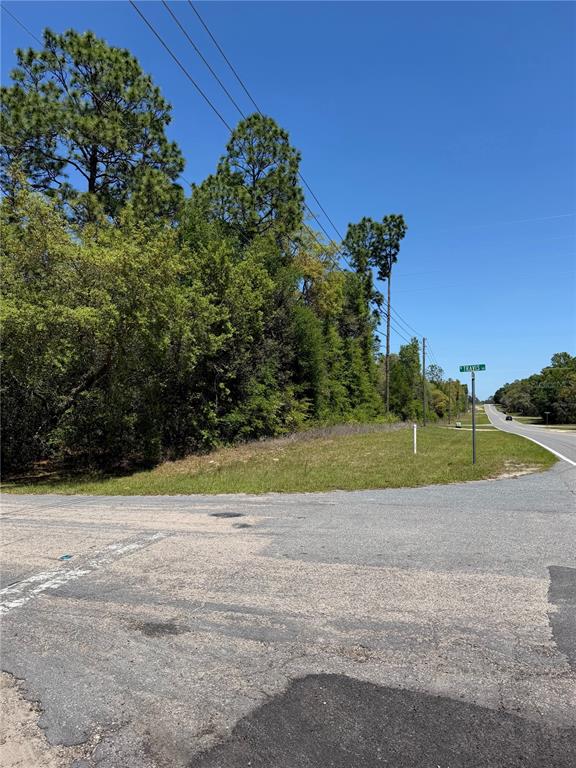 An intersection of paved roads features a grassy corner lot bordered by dense trees — 8975 N TRAVIS DRIVE, CITRUS SPRINGS, FL