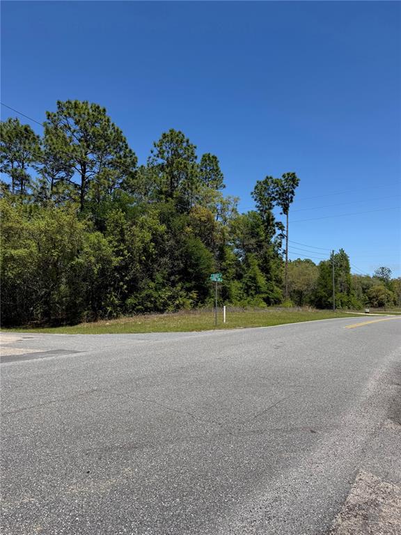 A paved road intersection sits in front of a wooded, undeveloped lot under a clear sky — 8975 N TRAVIS DRIVE, CITRUS SPRINGS, FL