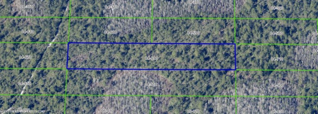This aerial map shows a rectangular plot of land highlighted in blue among wooded lots — DILL ROAD, ORLANDO, FL