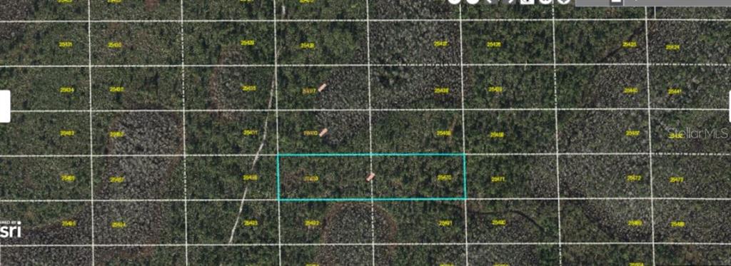 This is a map showing a rectangular parcel of land highlighted in blue — DILL ROAD, ORLANDO, FL