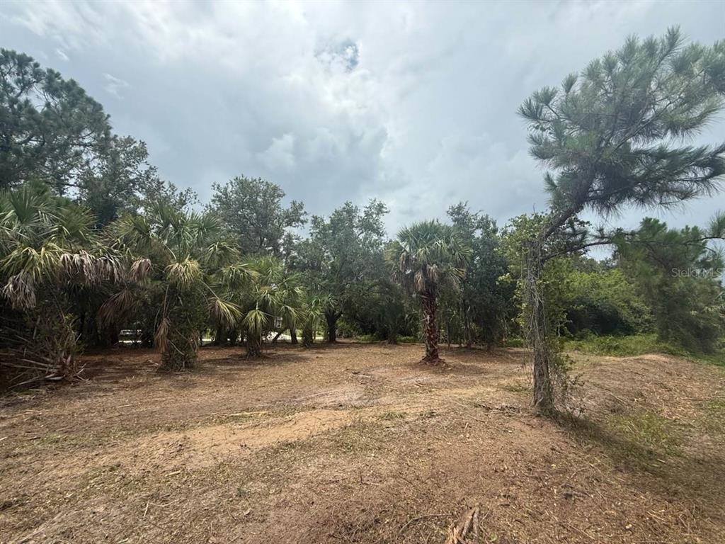 CASCO CIR, NORTH PORT, FL — photo 3 of 7