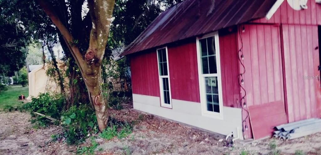 A red wooden shed with a metal roof and two windows sits beside a large tree — 564 SW OAK AVENUE W, SEBRING, FL