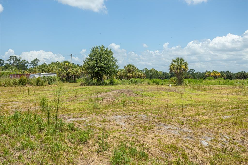 A grassy, undeveloped lot features scattered trees, shrubs, and a distant trailer under a blue sky — 29051 MARIS DRIVE, PUNTA GORDA, FL