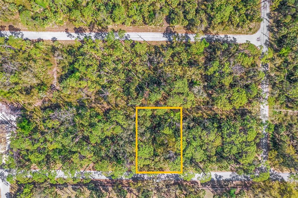 An aerial view shows a rectangular plot of land outlined in yellow within a wooded area — 17474 GEDDES AVENUE, PORT CHARLOTTE, FL