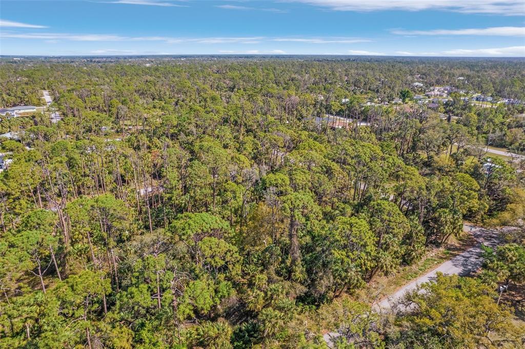 An aerial view shows a dense, wooded lot surrounded by residential streets and houses — 17474 GEDDES AVENUE, PORT CHARLOTTE, FL