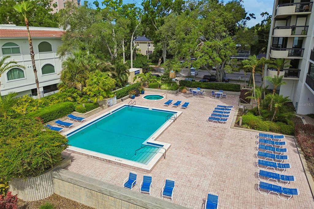 An elevated view of a rectangular swimming pool surrounded by lounge chairs and landscaping — 2413 BAYSHORE BOULEVARD UNIT 1904, TAMPA, FL