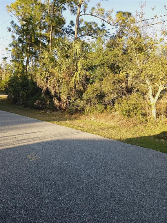 A paved road runs alongside a wooded lot with palm trees and dense vegetation — Lot 1 TROPICAIRE BOULEVARD, NORTH PORT, FL