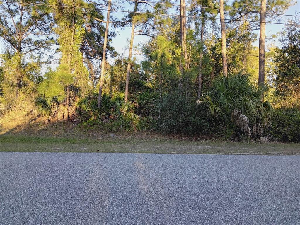 A grassy, undeveloped lot features a utility pole with a yellow guy wire and trees — Lot 1 TROPICAIRE BOULEVARD, NORTH PORT, FL