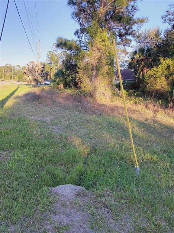 A paved road runs in front of a wooded lot with tall pine trees — Lot 1 TROPICAIRE BOULEVARD, NORTH PORT, FL