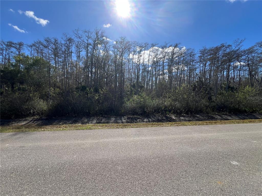 64TH AVE NE, NAPLES, FL — photo 4 of 10