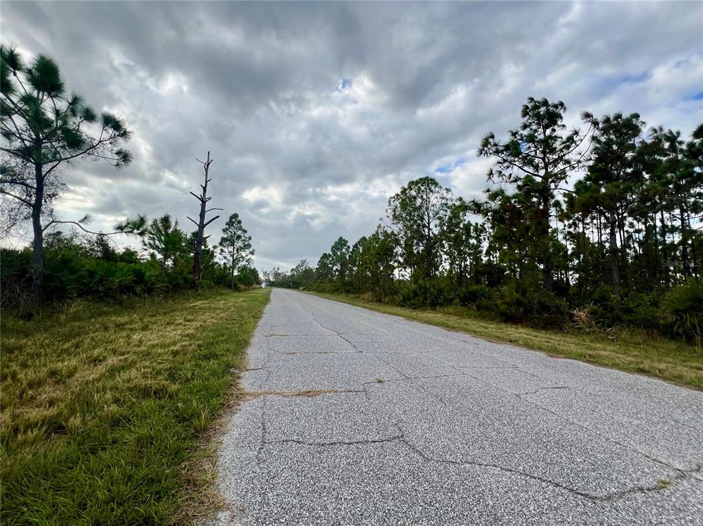 A paved road stretches into the distance, flanked by pine trees and grassy vegetation — 12093 GALLOP AVENUE, PORT CHARLOTTE, FL