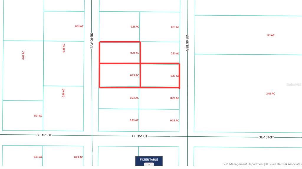0 SE 65TH AVE, SUMMERFIELD, FL — photo 2 of 5