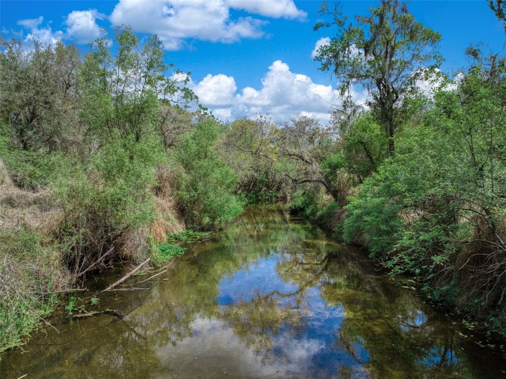 A narrow, calm creek flows through a lush, green wooded area under a blue sky — 3515 US HIGHWAY 17 N, BOWLING GREEN, FL