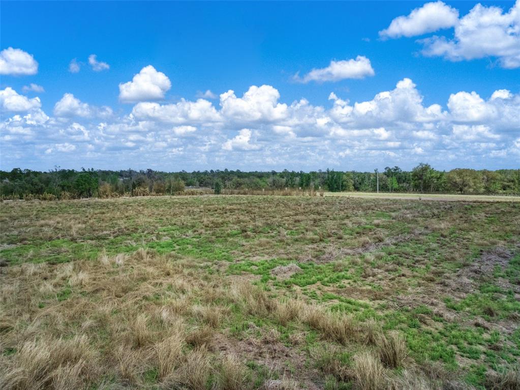 A wide, grassy field stretches toward a distant tree line under a blue sky — 3515 US HIGHWAY 17 N, BOWLING GREEN, FL