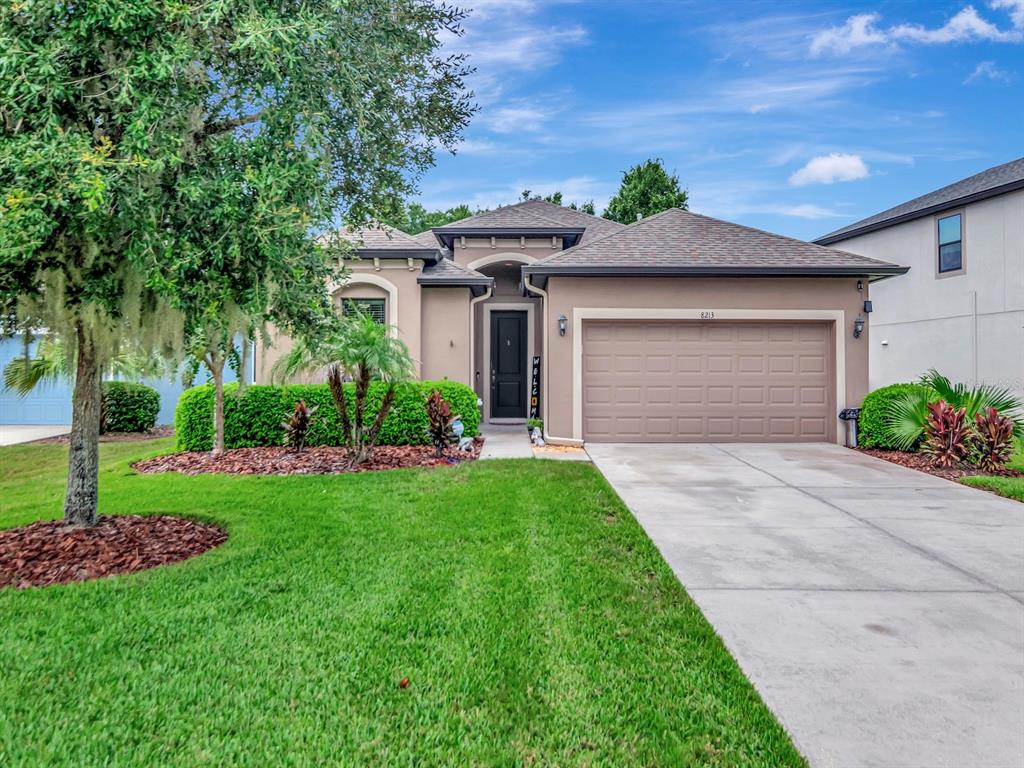 A single-story house with a tan stucco exterior, a two-car garage, and a landscaped front yard — 8213 SUMMER BROOK COURT, LAND O LAKES, FL