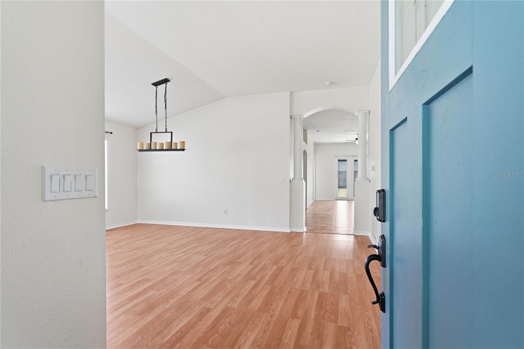 A view from a blue front door into an empty room with wood-look flooring — 19520 MORDEN BLUSH DRIVE, LUTZ, FL