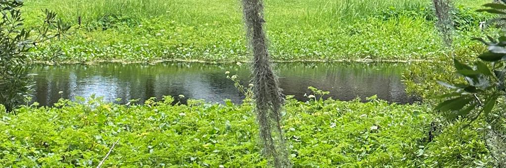 A narrow canal flows through a grassy area with dense green vegetation and Spanish moss — 000 SE 197TH PLACE, INGLIS, FL