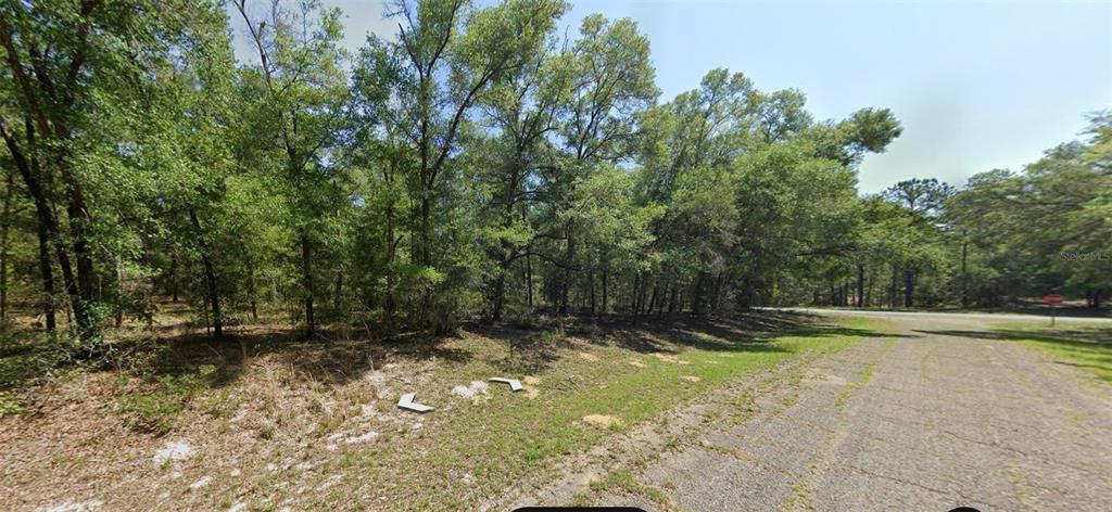 A wooded, undeveloped lot with a paved road running along the side — 8388 N JOINER WAY, CITRUS SPRINGS, FL