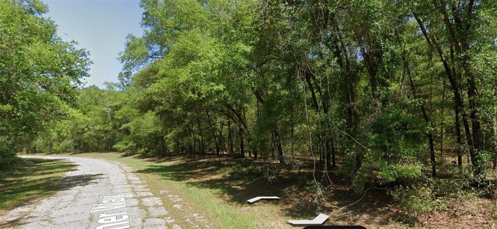 A paved road curves past a dense, wooded area with mature trees and green foliage — 8388 N JOINER WAY, CITRUS SPRINGS, FL