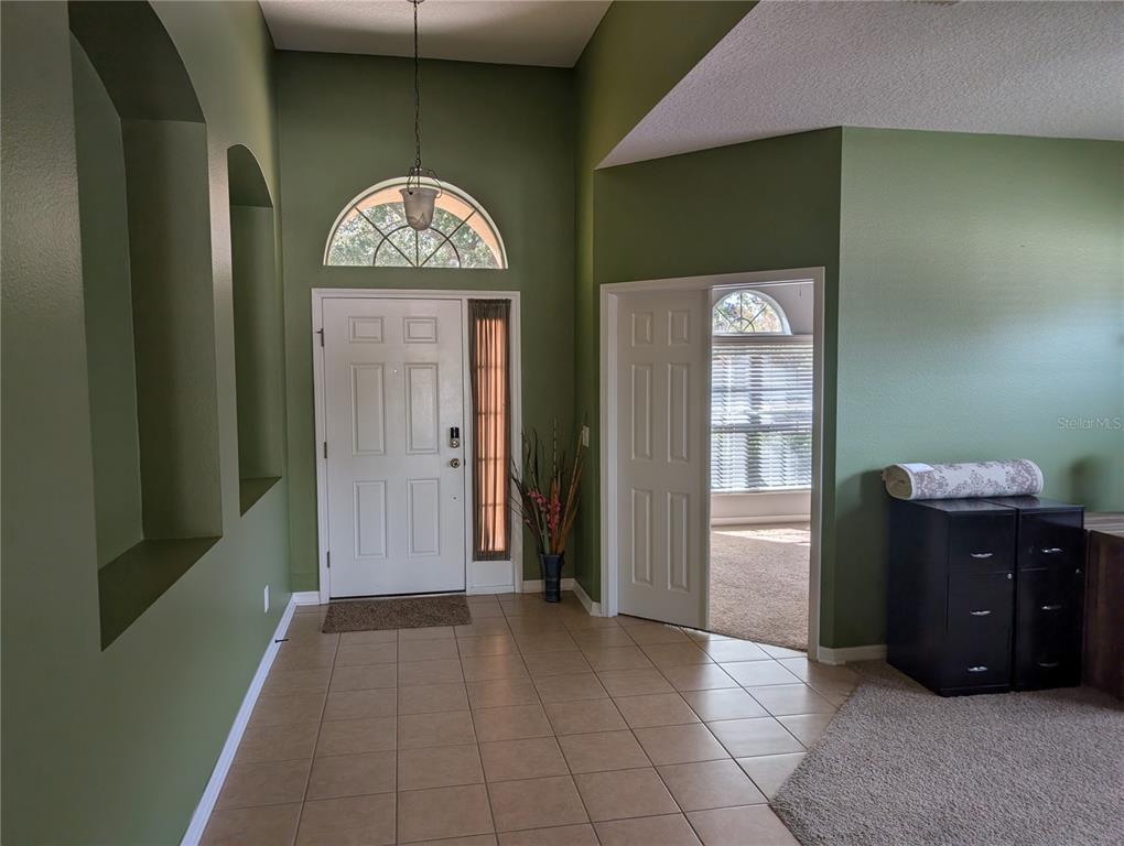 7343 FOREST MERE DRIVE, RIVERVIEW, FL — photo 3 of 26