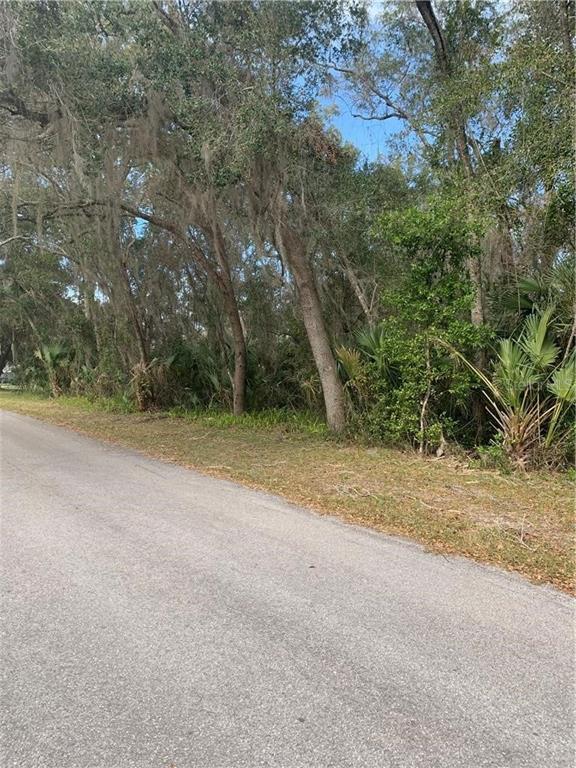 A paved road runs alongside a wooded lot with trees and palmetto bushes — 1541 NW 21ST STREET, CRYSTAL RIVER, FL