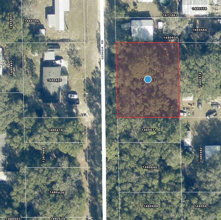 This is an aerial map showing a rectangular plot of land highlighted in red — 000 GEORGIA ROAD, ALTOONA, FL