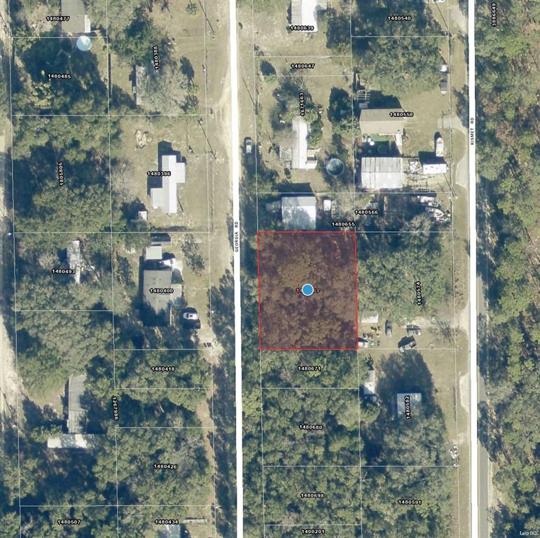 This is an aerial map showing a vacant, wooded rectangular lot highlighted in red — 000 GEORGIA ROAD, ALTOONA, FL