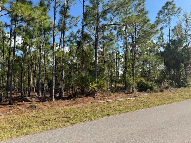 A wooded lot with tall pine trees sits adjacent to a paved residential street — 142 ALGONQUIN STREET, PORT CHARLOTTE, FL