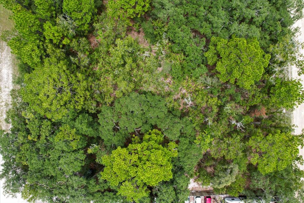 An aerial view shows a densely wooded residential lot bordered by roads and a fence — 17192 NICASIO JAY AVENUE, BROOKSVILLE, FL