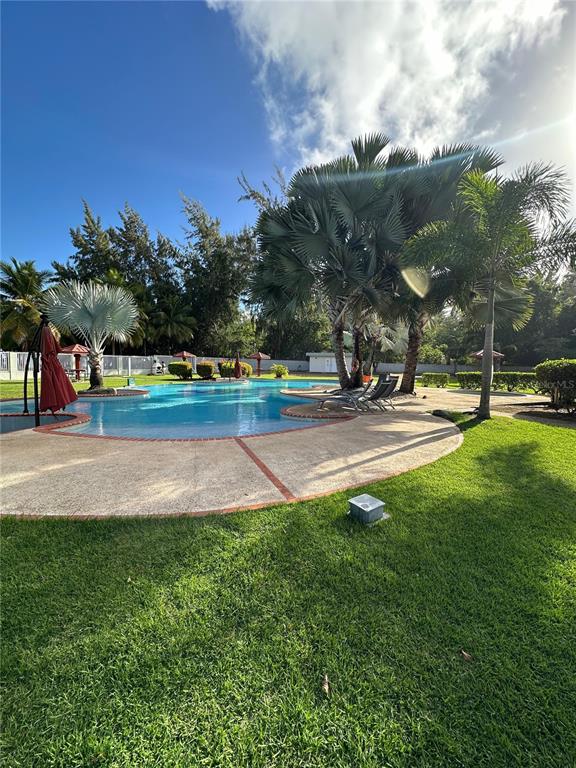 A swimming pool surrounded by a concrete deck, palm trees, and a grassy lawn — 1502 OCEAN POINT UNIT 1, LOIZA, PR