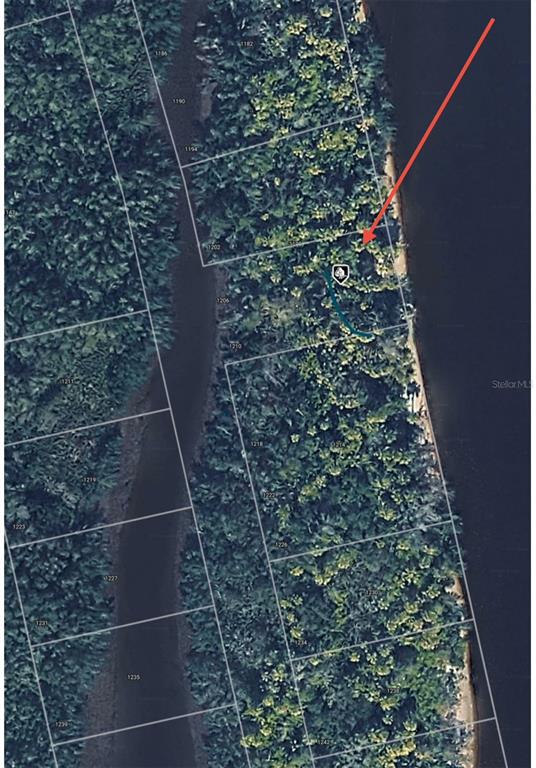 An aerial map view shows a wooded waterfront property lot with parcel boundary lines — 1206 MALABO COURT, PUNTA GORDA, FL