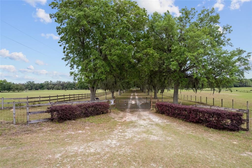 A dirt driveway leads through a gated entrance lined with large trees and wooden fencing — 3149 SW 200TH AVENUE, DUNNELLON, FL