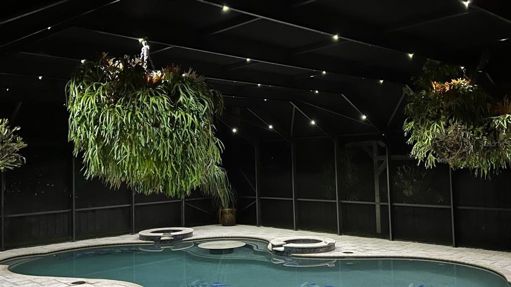 A swimming pool with a spa is enclosed by a screened lanai featuring hanging plants — 900 E 1ST AVENUE, NEW SMYRNA BEACH, FL