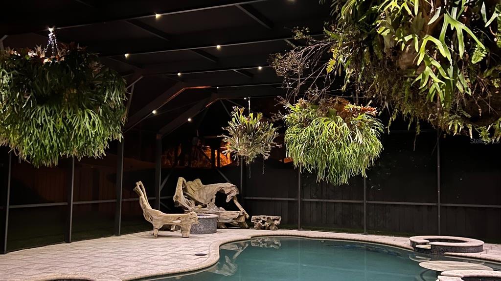 A swimming pool area at night features hanging plants, driftwood furniture, and a screened enclosure — 900 E 1ST AVENUE, NEW SMYRNA BEACH, FL