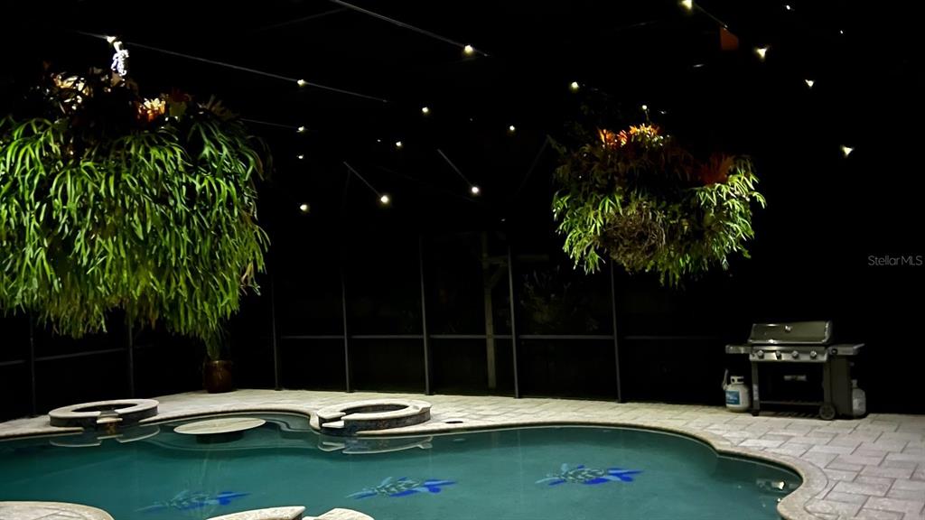 A swimming pool with hanging plants and a grill inside a screened-in patio at night — 900 E 1ST AVENUE, NEW SMYRNA BEACH, FL