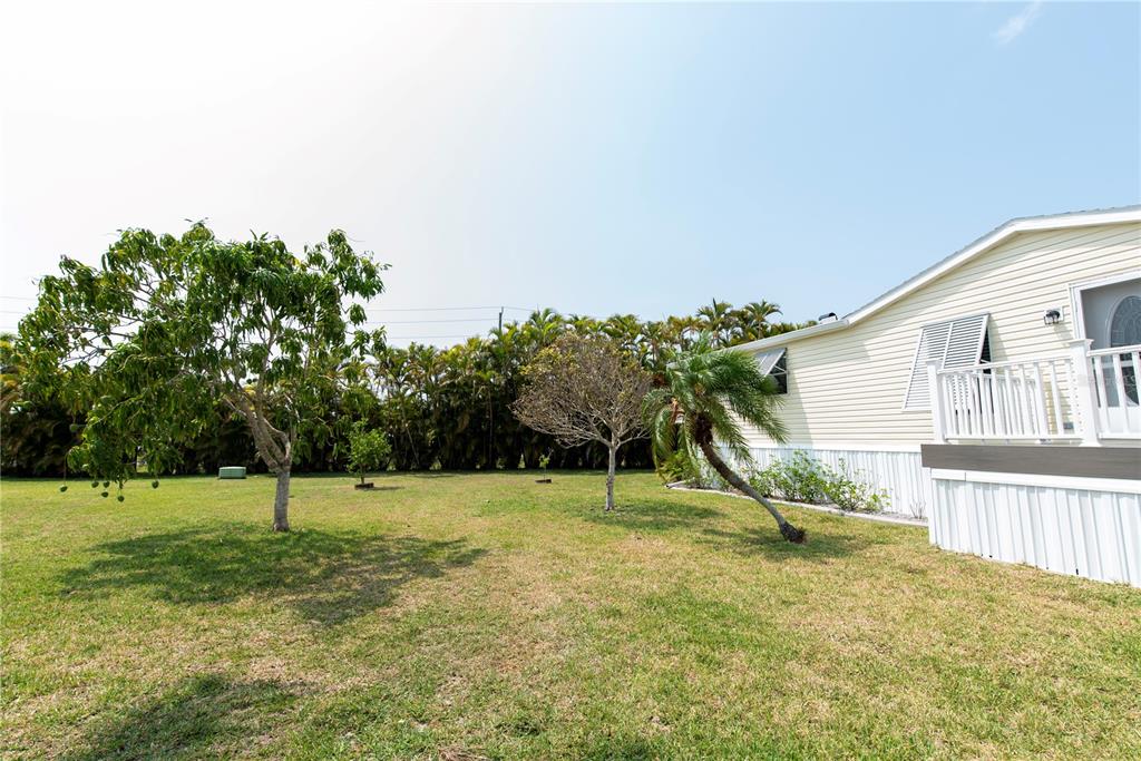 A grassy backyard features a large mango tree, a small palm, and a mobile home — 23 HOLLAND DRIVE, PUNTA GORDA, FL