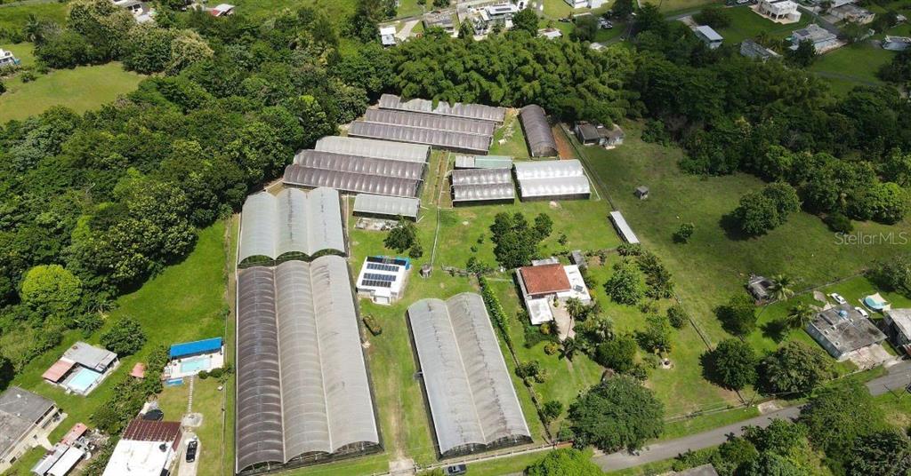 An aerial view shows a rural property featuring several large greenhouses and a residential house — Carr. 137 km 9.9 BO. FRANQUES, MOROVIS, PR