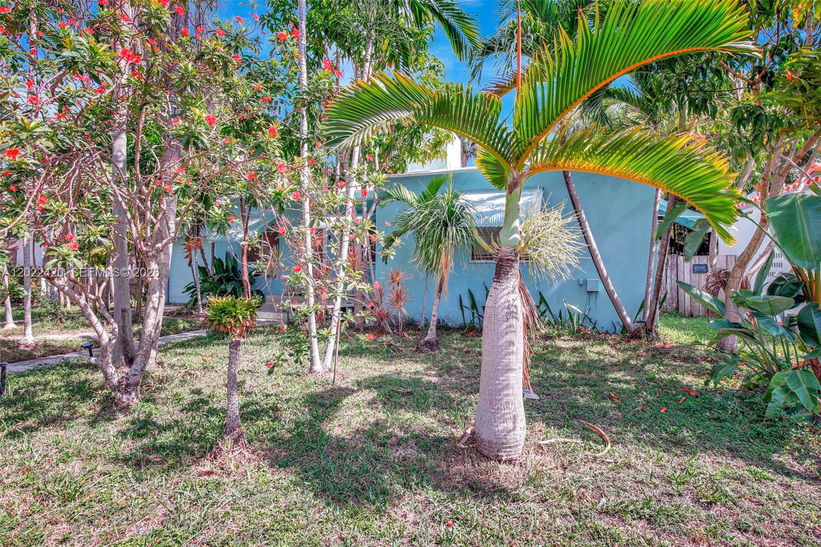 A light blue house sits behind a yard filled with palm trees and flowering shrubs — 1523 Dewey St, Hollywood FL 33020, HOLLYWOOD, FL