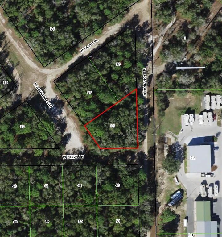 This is an aerial map showing a vacant, wooded lot highlighted in red — 8123 W NIZZA LANE, CRYSTAL RIVER, FL
