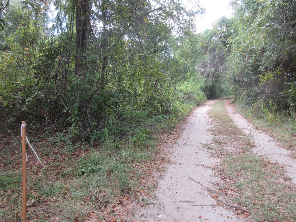 SE 1 LN, SILVER SPRINGS, FL — photo 2 of 30