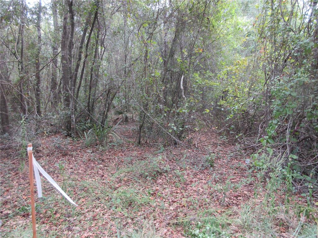 SE 1 LN, SILVER SPRINGS, FL — photo 3 of 30