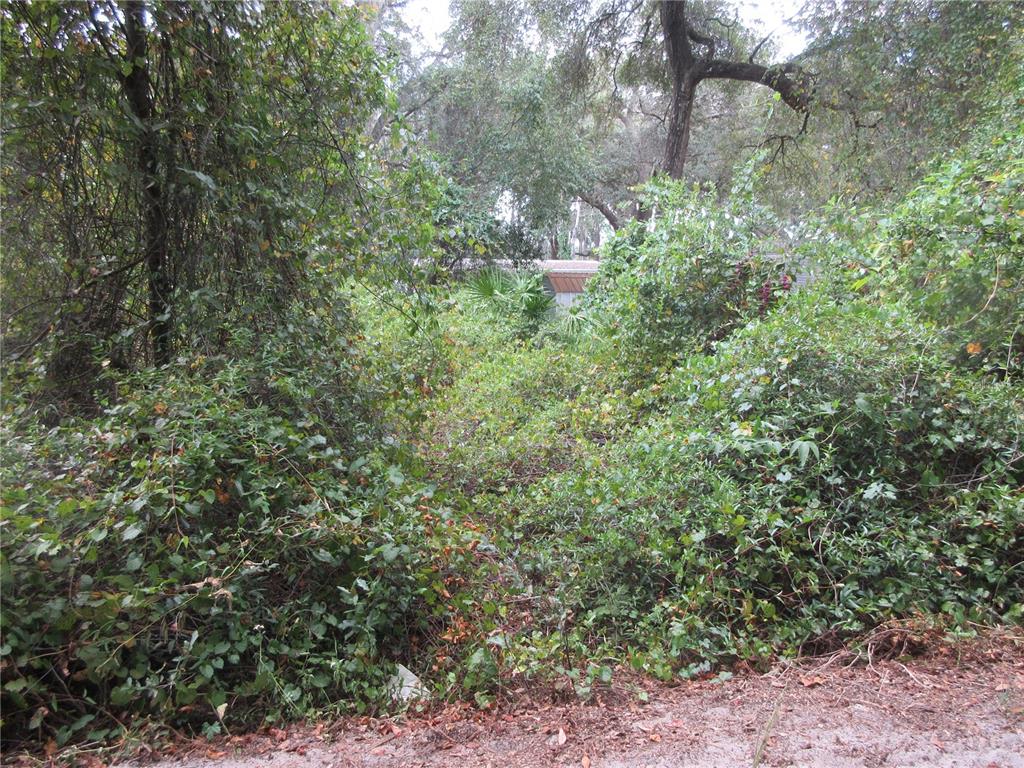 SE 1 LN, SILVER SPRINGS, FL — photo 5 of 30
