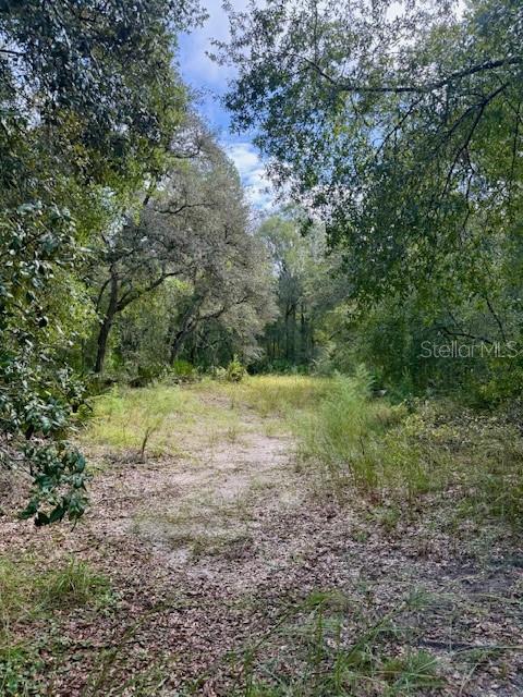 0 GRESHAM ROAD, WEBSTER, FL — photo 2 of 18