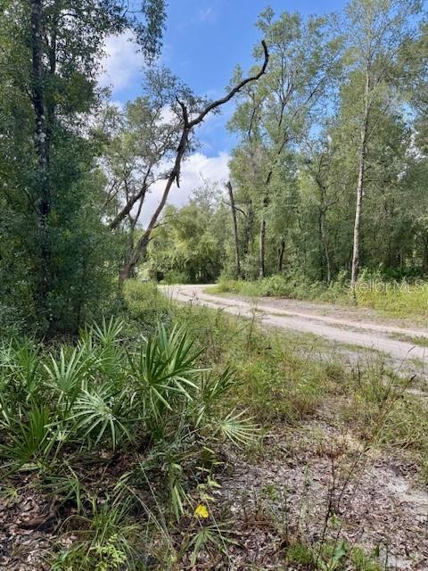 0 GRESHAM ROAD, WEBSTER, FL — photo 3 of 18