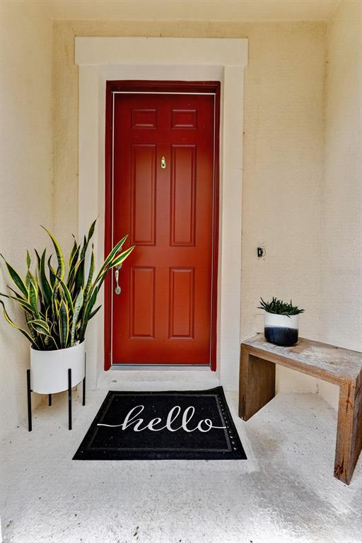 A red front door sits between a potted snake plant and a wooden bench — 9597 CAVENDISH DRIVE, TAMPA, FL