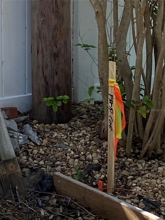A wooden stake marked "PROP COR" stands in a gravel bed near a tree — 121 13TH AVENUE, INDIAN ROCKS BEACH, FL