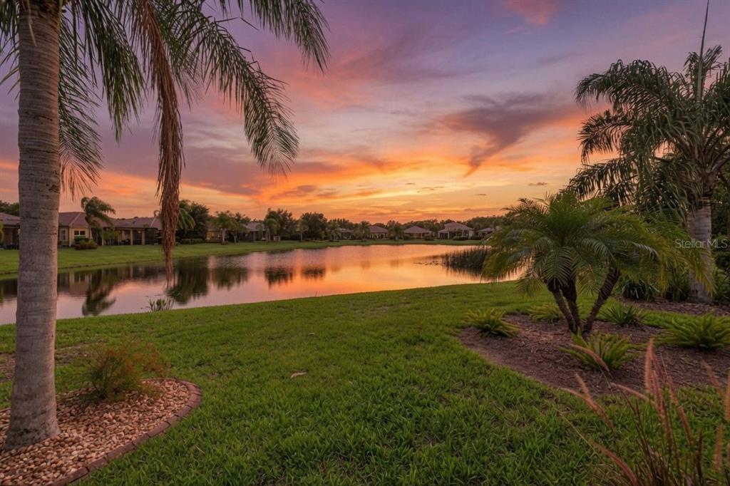 A sunset view over a pond with palm trees and houses in the background — 15929 GOLDEN LAKES DRIVE, WIMAUMA, FL