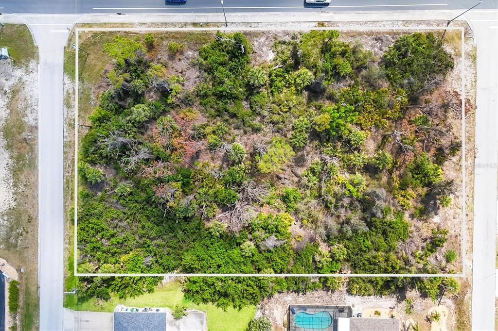 An aerial view shows a rectangular, undeveloped lot covered in dense vegetation and trees — 2440 PLACIDA ROAD, ENGLEWOOD, FL