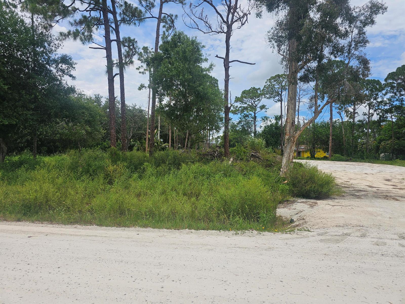 A vacant, wooded lot with sandy ground and tall pine trees under a cloudy sky — 13841 76th Road N, FL 33412, FL